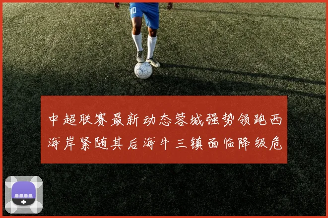 中超联赛最新动态蓉城强势领跑西海岸紧随其后海牛三镇面临降级危机